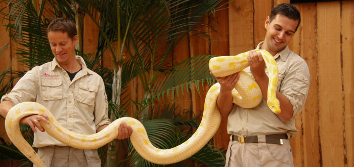Spannende jungleshow met slangen