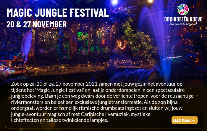 Magic jungle festival